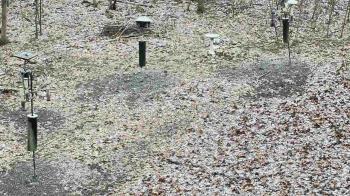 Weather camera view of Cincinnati Nature Center.