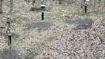 Weather camera view of Cincinnati Nature Center.