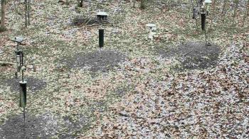 Weather camera view of Cincinnati Nature Center.
