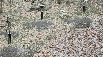 Weather camera view of Cincinnati Nature Center.