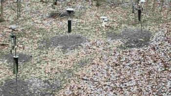 Weather camera view of Cincinnati Nature Center.