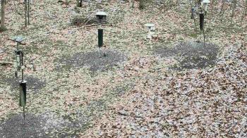Weather camera view of Cincinnati Nature Center.