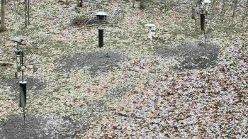 Weather camera view of Cincinnati Nature Center.