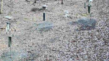 Weather camera view of Cincinnati Nature Center.