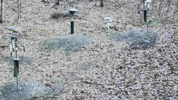 Weather camera view of Cincinnati Nature Center.