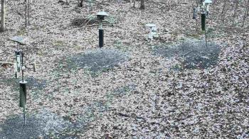 Weather camera view of Cincinnati Nature Center.