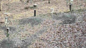 Weather camera view of Cincinnati Nature Center.