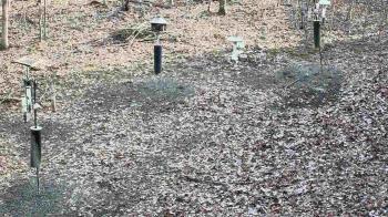 Weather camera view of Cincinnati Nature Center.