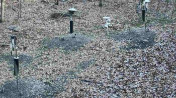 Weather camera view of Cincinnati Nature Center.