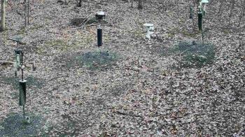 Weather camera view of Cincinnati Nature Center.