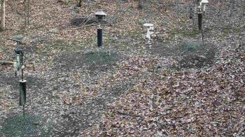 Weather camera view of Cincinnati Nature Center.