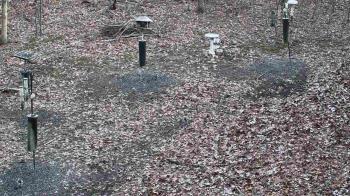 Weather camera view of Cincinnati Nature Center.