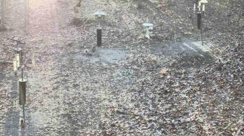 Weather camera view of Cincinnati Nature Center.