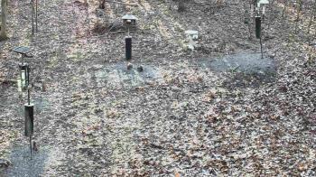 Weather camera view of Cincinnati Nature Center.