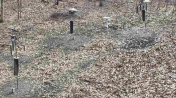 Weather camera view of Cincinnati Nature Center.