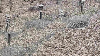 Weather camera view of Cincinnati Nature Center.