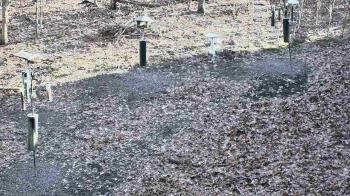 Weather camera view of Cincinnati Nature Center.