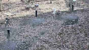 Weather camera view of Cincinnati Nature Center.
