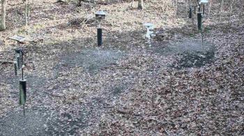 Weather camera view of Cincinnati Nature Center.