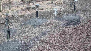 Weather camera view of Cincinnati Nature Center.