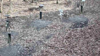 Weather camera view of Cincinnati Nature Center.