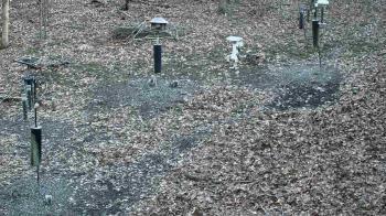 Weather camera view of Cincinnati Nature Center.