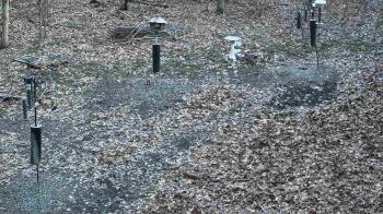 Weather camera view of Cincinnati Nature Center.