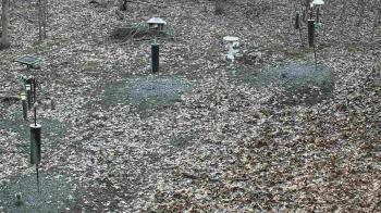 Weather camera view of Cincinnati Nature Center.