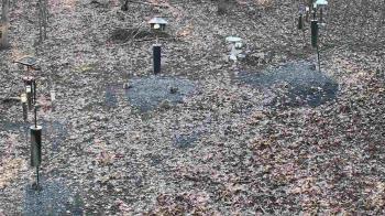 Weather camera view of Cincinnati Nature Center.