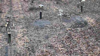 Weather camera view of Cincinnati Nature Center.