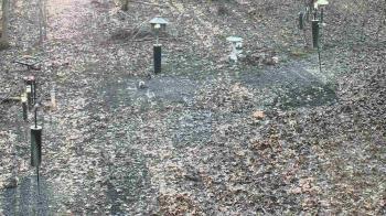 Weather camera view of Cincinnati Nature Center.