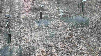 Weather camera view of Cincinnati Nature Center.