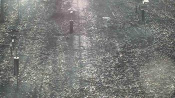 Weather camera view of Cincinnati Nature Center.