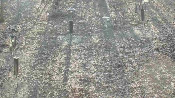 Weather camera view of Cincinnati Nature Center.