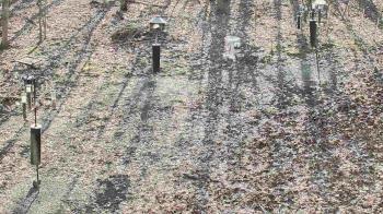 Weather camera view of Cincinnati Nature Center.