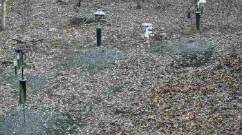 Weather camera view of Cincinnati Nature Center.