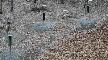 Weather camera view of Cincinnati Nature Center.
