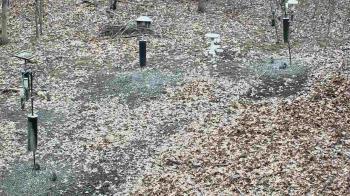 Weather camera view of Cincinnati Nature Center.
