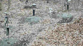 Weather camera view of Cincinnati Nature Center.