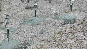 Weather camera view of Cincinnati Nature Center.