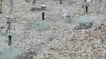 Weather camera view of Cincinnati Nature Center.