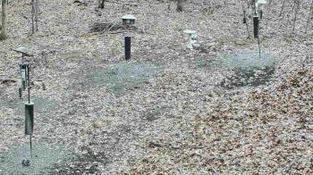 Weather camera view of Cincinnati Nature Center.