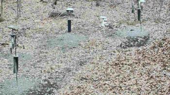Weather camera view of Cincinnati Nature Center.