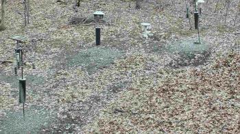 Weather camera view of Cincinnati Nature Center.
