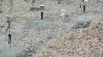 Weather camera view of Cincinnati Nature Center.