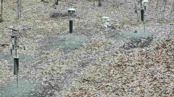 Weather camera view of Cincinnati Nature Center.