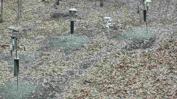 Weather camera view of Cincinnati Nature Center.