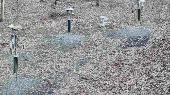 Weather camera view of Cincinnati Nature Center.