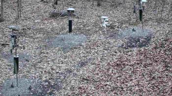 Weather camera view of Cincinnati Nature Center.