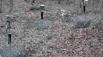 Weather camera view of Cincinnati Nature Center.